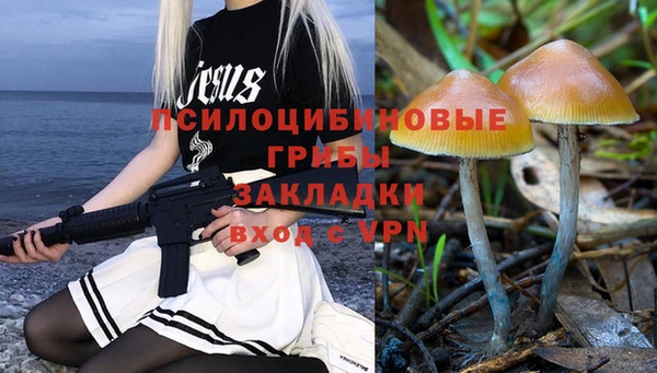 дурь Алексеевка