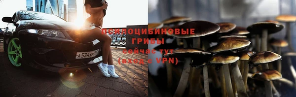 дурь Алексеевка