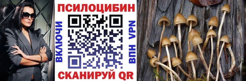 наркошоп Амурск Псилоцибиновые грибы Psilocybe